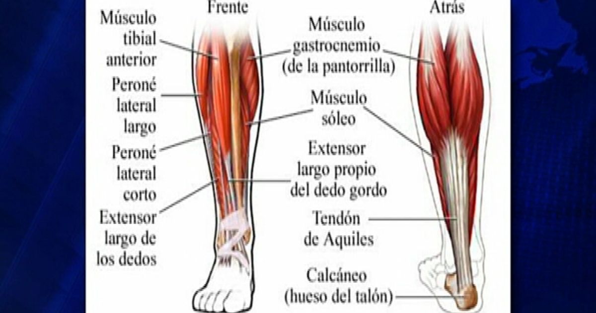 Viva Sin Dolor: Calambre en las pantorrillas - WAPA.tv - Noticias - Videos