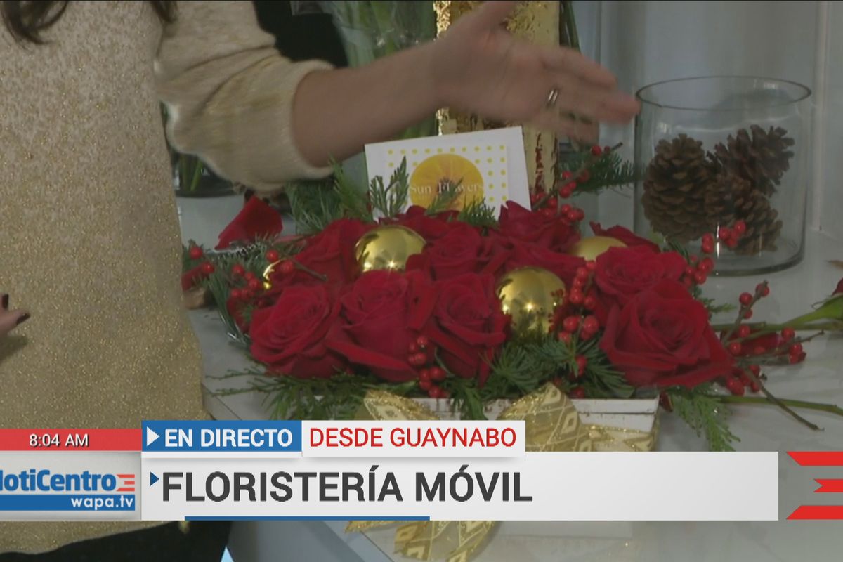 Floristería rodante puede tener el regalo perfecto en esta época - WAPA.tv  - Noticias - Videos